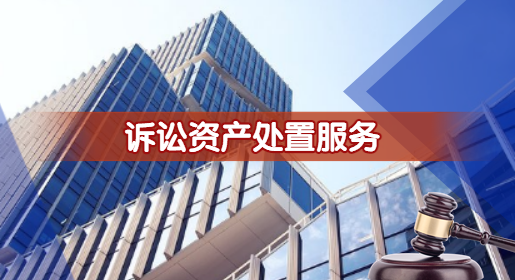 訴訟資產處置服務